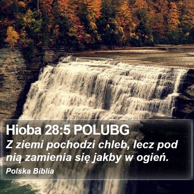 Hioba 28:5 POLUBG Bible Verse Image