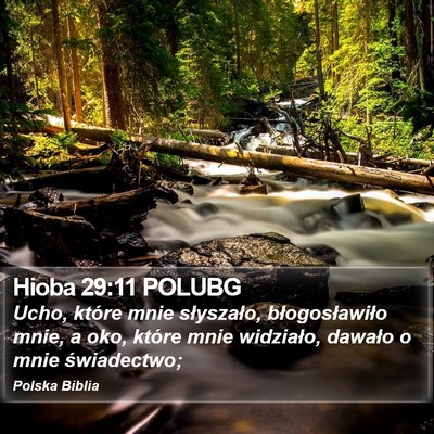 Hioba 29:11 POLUBG Bible Verse Image