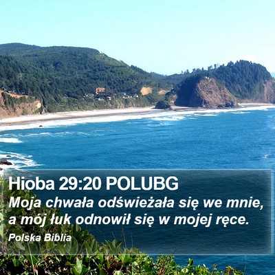 Hioba 29:20 POLUBG Bible Verse Image
