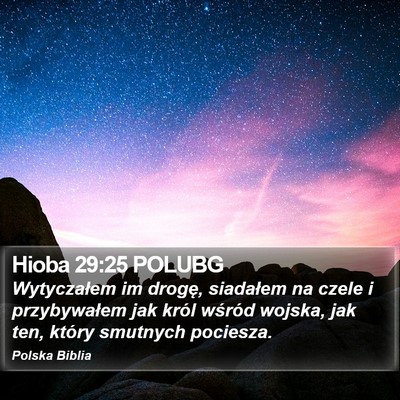 Hioba 29:25 POLUBG Bible Verse Image