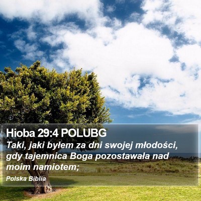 Hioba 29:4 POLUBG Bible Verse Image