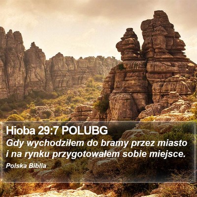 Hioba 29:7 POLUBG Bible Verse Image