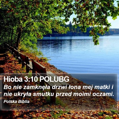 Hioba 3:10 POLUBG Bible Verse Image
