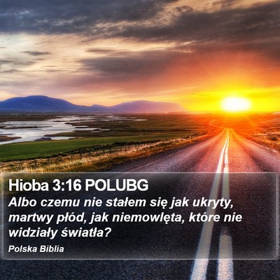 Hioba 3:16 POLUBG Bible Verse Image