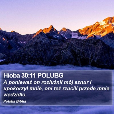 Hioba 30:11 POLUBG Bible Verse Image