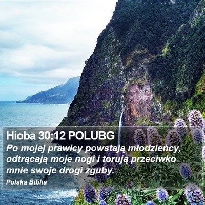 Hioba 30:12 POLUBG Bible Verse Image