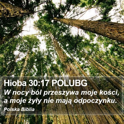 Hioba 30:17 POLUBG Bible Verse Image