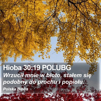 Hioba 30:19 POLUBG Bible Verse Image