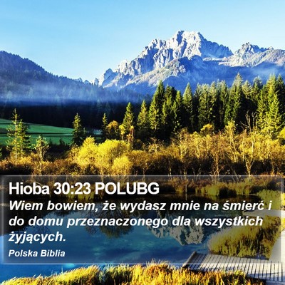 Hioba 30:23 POLUBG Bible Verse Image