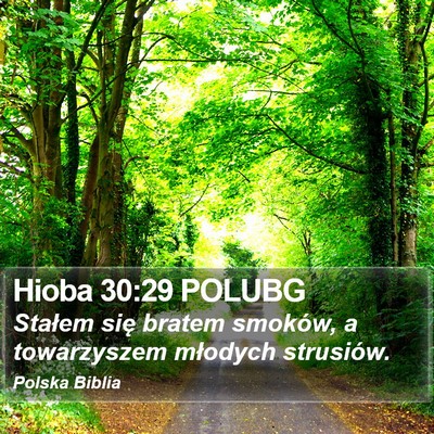 Hioba 30:29 POLUBG Bible Verse Image
