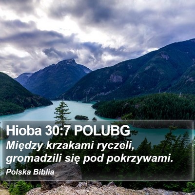 Hioba 30:7 POLUBG Bible Verse Image