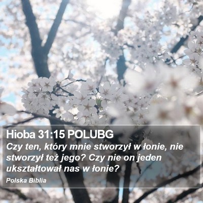 Hioba 31:15 POLUBG Bible Verse Image