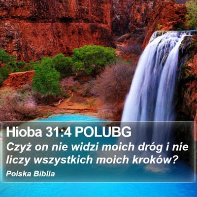 Hioba 31:4 POLUBG Bible Verse Image