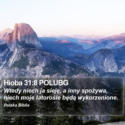 Hioba 31:8 POLUBG Bible Verse Image