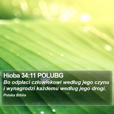 Hioba 34:11 POLUBG Bible Verse Image