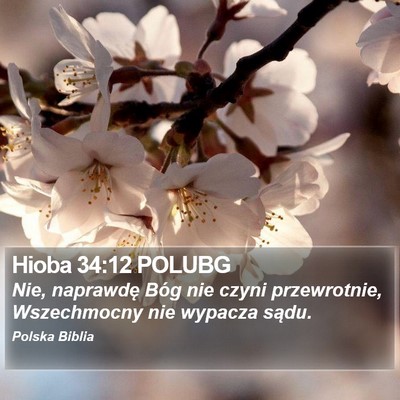 Hioba 34:12 POLUBG Bible Verse Image