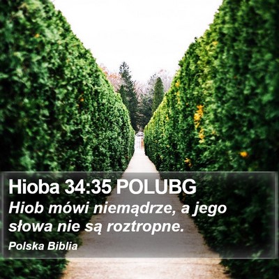 Hioba 34:35 POLUBG Bible Verse Image