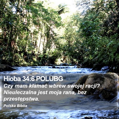 Hioba 34:6 POLUBG Bible Verse Image