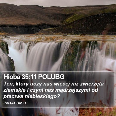 Hioba 35:11 POLUBG Bible Verse Image