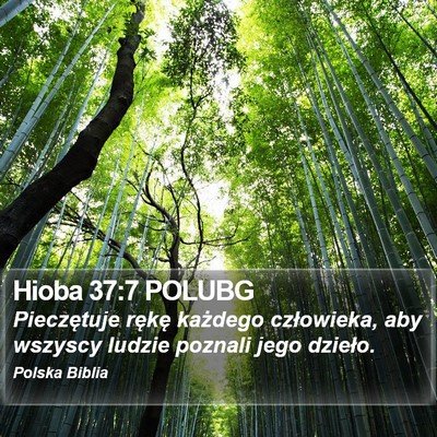 Hioba 37:7 POLUBG Bible Verse Image