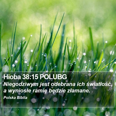 Hioba 38:15 POLUBG Bible Verse Image