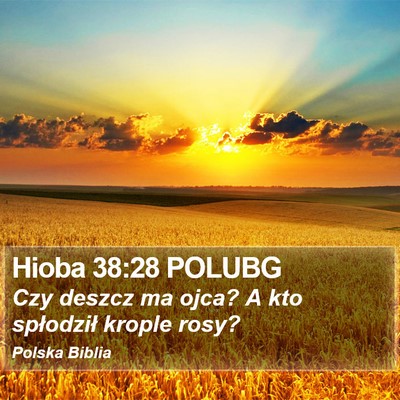 Hioba 38:28 POLUBG Bible Verse Image