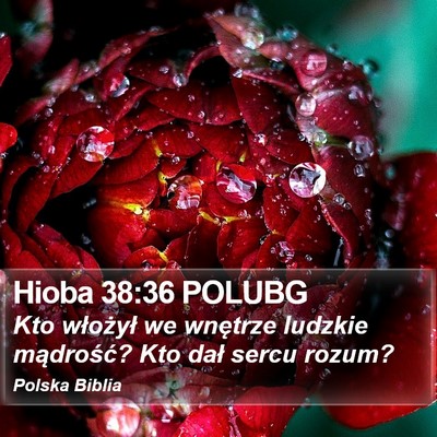 Hioba 38:36 POLUBG Bible Verse Image