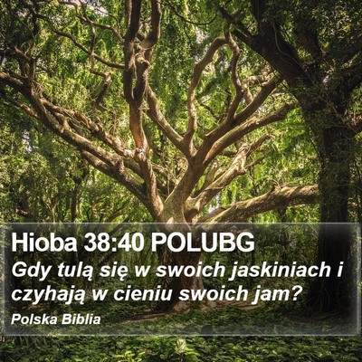 Hioba 38:40 POLUBG Bible Verse Image