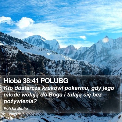 Hioba 38:41 POLUBG Bible Verse Image