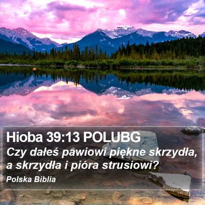 Hioba 39:13 POLUBG Bible Verse Image