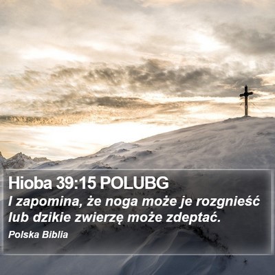 Hioba 39:15 POLUBG Bible Verse Image