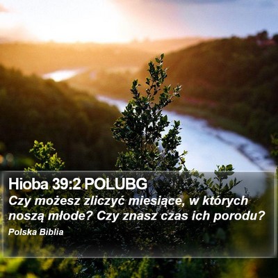 Hioba 39:2 POLUBG Bible Verse Image