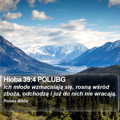 Hioba 39:4 POLUBG Bible Verse Image