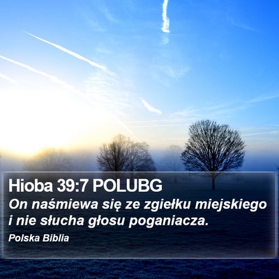 Hioba 39:7 POLUBG Bible Verse Image