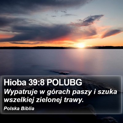 Hioba 39:8 POLUBG Bible Verse Image
