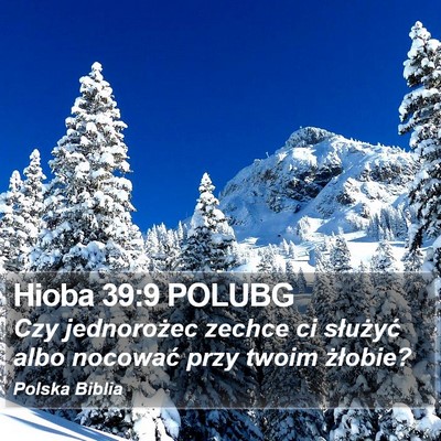 Hioba 39:9 POLUBG Bible Verse Image