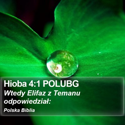 Hioba 4:1 POLUBG Bible Verse Image