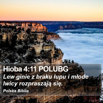 Hioba 4:11 POLUBG Bible Verse Image
