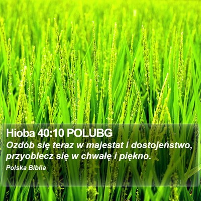 Hioba 40:10 POLUBG Bible Verse Image