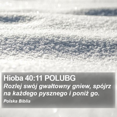 Hioba 40:11 POLUBG Bible Verse Image