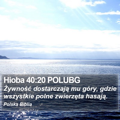 Hioba 40:20 POLUBG Bible Verse Image