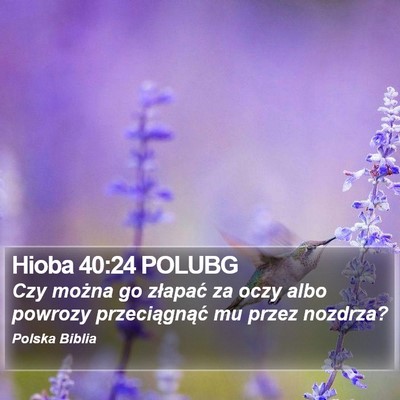 Hioba 40:24 POLUBG Bible Verse Image