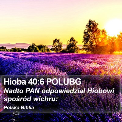 Hioba 40:6 POLUBG Bible Verse Image