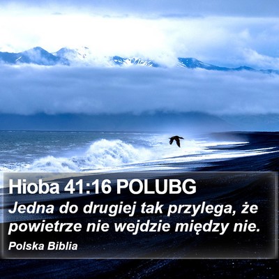 Hioba 41:16 POLUBG Bible Verse Image