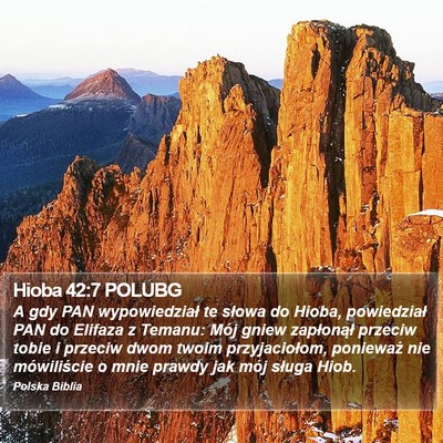 Hioba 42:7 POLUBG Bible Verse Image