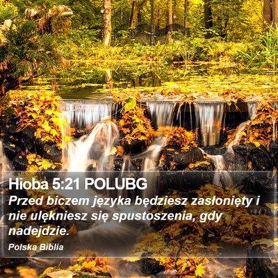 Hioba 5:21 POLUBG Bible Verse Image