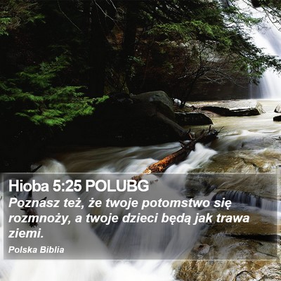 Hioba 5:25 POLUBG Bible Verse Image