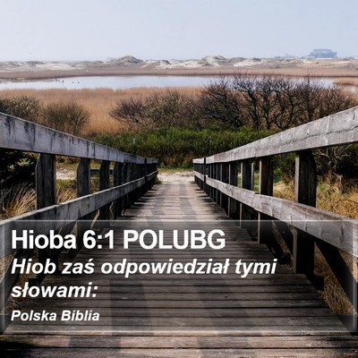 Hioba 6:1 POLUBG Bible Verse Image