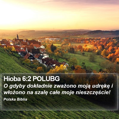 Hioba 6:2 POLUBG Bible Verse Image