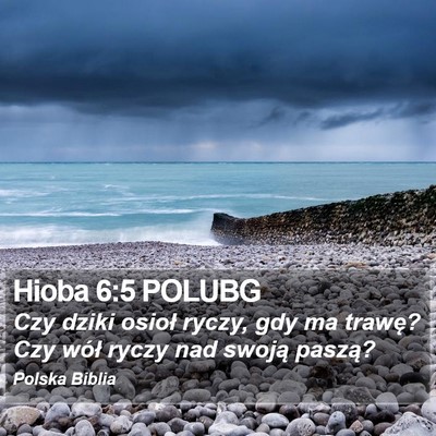 Hioba 6:5 POLUBG Bible Verse Image